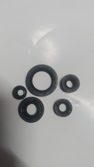 Apache rtr 160 oil seal price hotsell